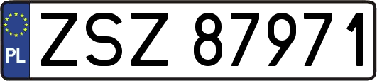 ZSZ87971