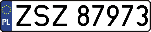 ZSZ87973