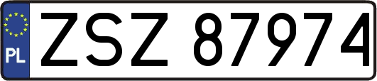 ZSZ87974