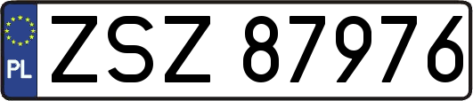 ZSZ87976