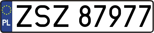 ZSZ87977