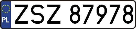 ZSZ87978