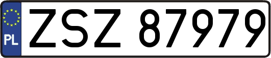 ZSZ87979