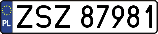 ZSZ87981