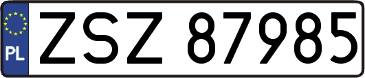ZSZ87985