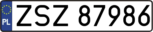 ZSZ87986