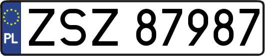 ZSZ87987