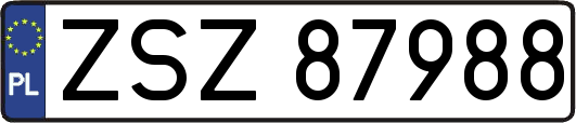 ZSZ87988