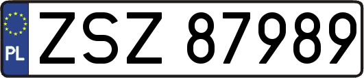 ZSZ87989