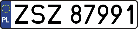 ZSZ87991