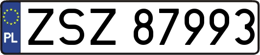 ZSZ87993