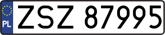 ZSZ87995
