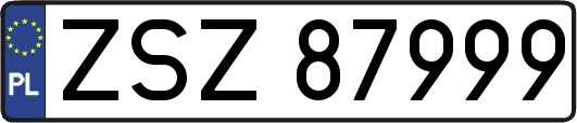 ZSZ87999
