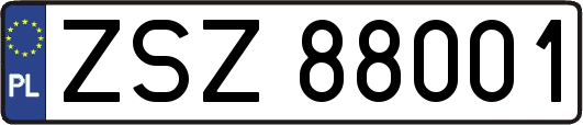 ZSZ88001