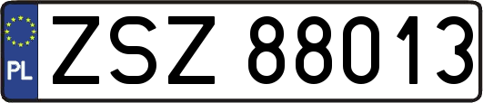 ZSZ88013