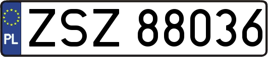 ZSZ88036