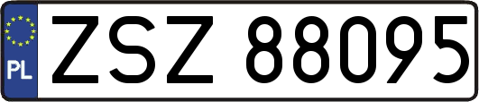 ZSZ88095