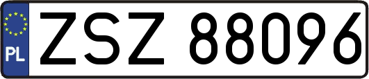 ZSZ88096