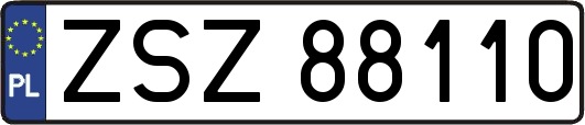 ZSZ88110