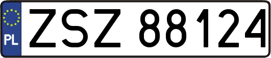 ZSZ88124