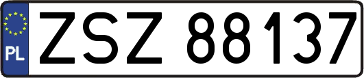 ZSZ88137