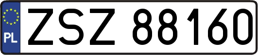 ZSZ88160