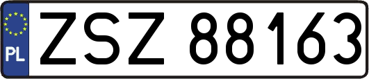 ZSZ88163