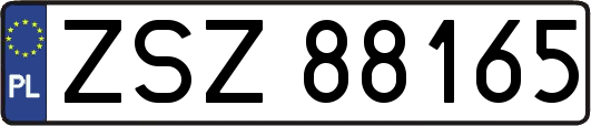 ZSZ88165