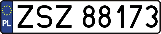 ZSZ88173