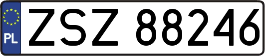 ZSZ88246