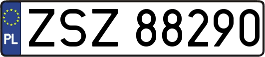 ZSZ88290