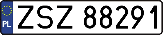 ZSZ88291