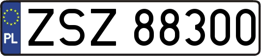 ZSZ88300