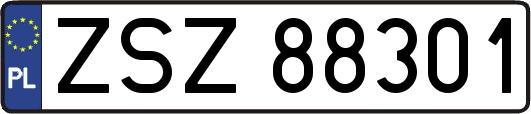 ZSZ88301