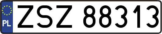 ZSZ88313