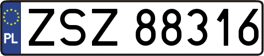 ZSZ88316