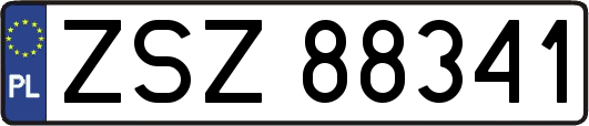 ZSZ88341
