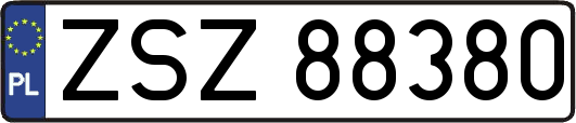 ZSZ88380