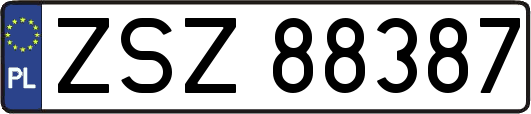 ZSZ88387