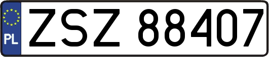 ZSZ88407