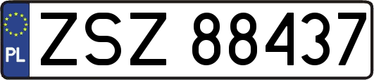 ZSZ88437