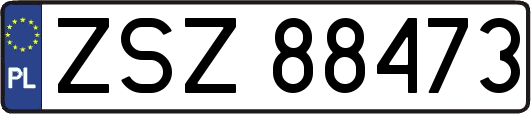 ZSZ88473