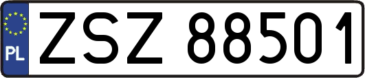 ZSZ88501
