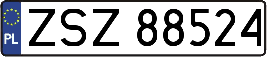 ZSZ88524