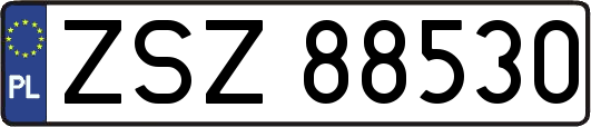 ZSZ88530