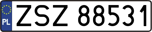 ZSZ88531
