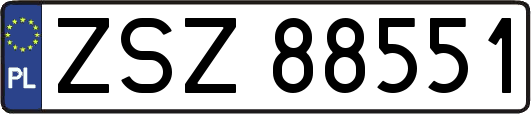 ZSZ88551