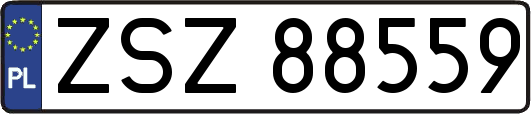 ZSZ88559