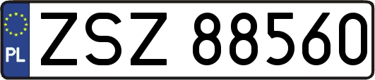 ZSZ88560