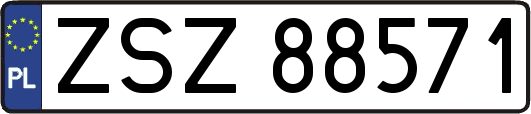 ZSZ88571